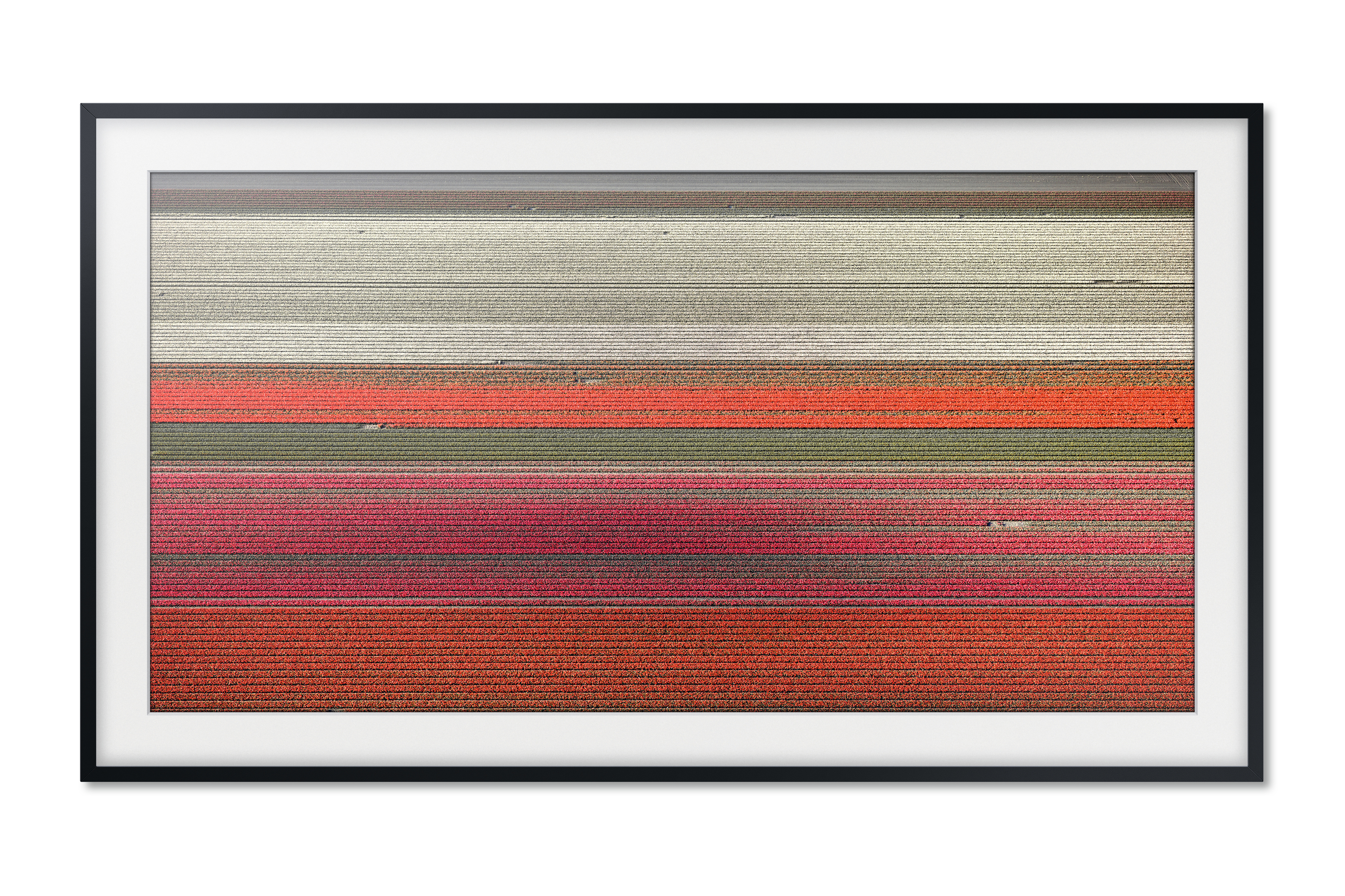 SAMSUNG VG-SCFN65BM Frame
