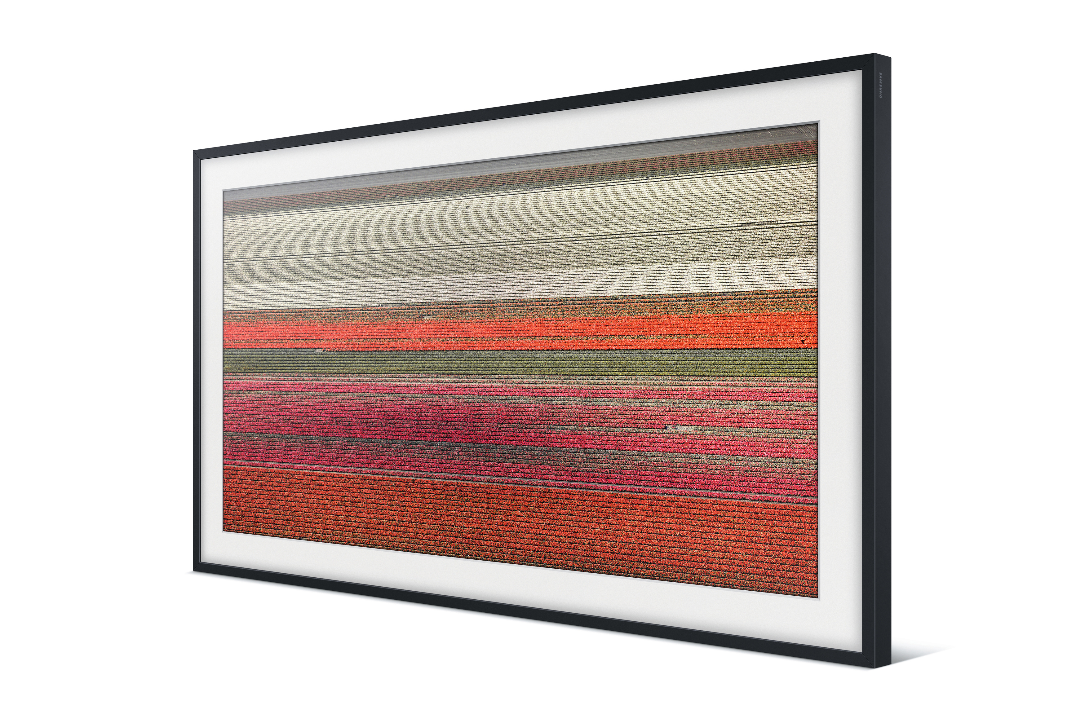 SAMSUNG VG-SCFN65BM Frame