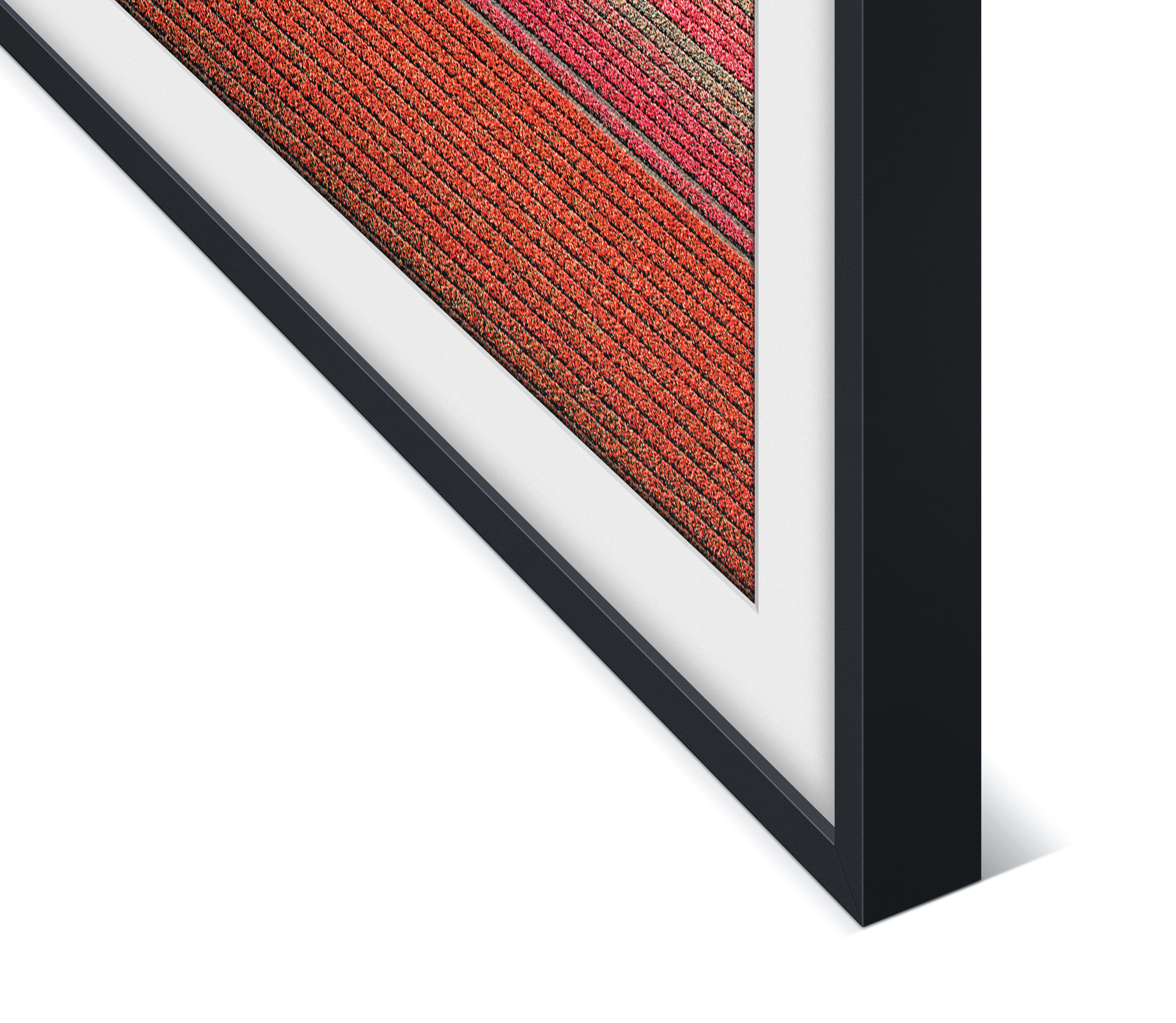 SAMSUNG VG-SCFN65BM Frame