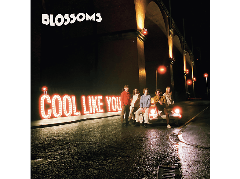 Blossoms - Cool Like You CD