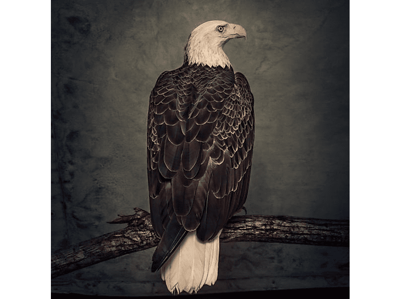 Clutch - Book Of Bad Decisions (Digipak) - (CD)