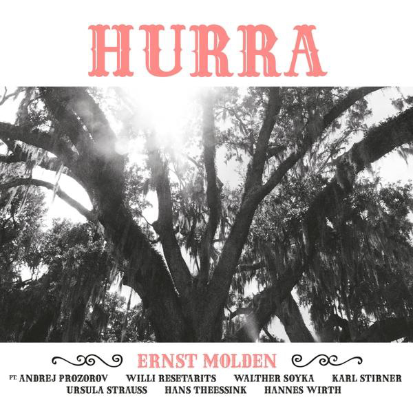 Ernst Molden - Hurra - (Vinyl)