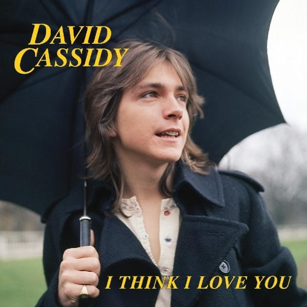 David Cassidy - I Think - (Vinyl) Love You I