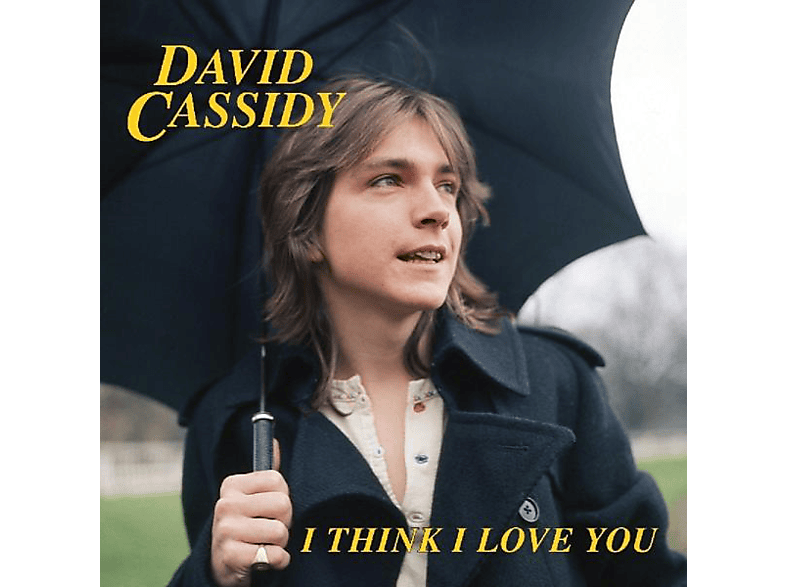 I You David - Love - I Cassidy Think (Vinyl)