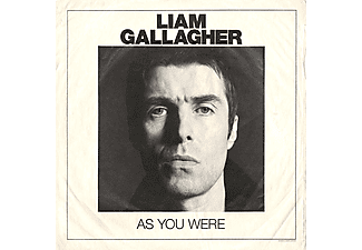 Liam Gallagher - As You Were (Picture Disk) (Limited Edition) (Vinyl LP (nagylemez))