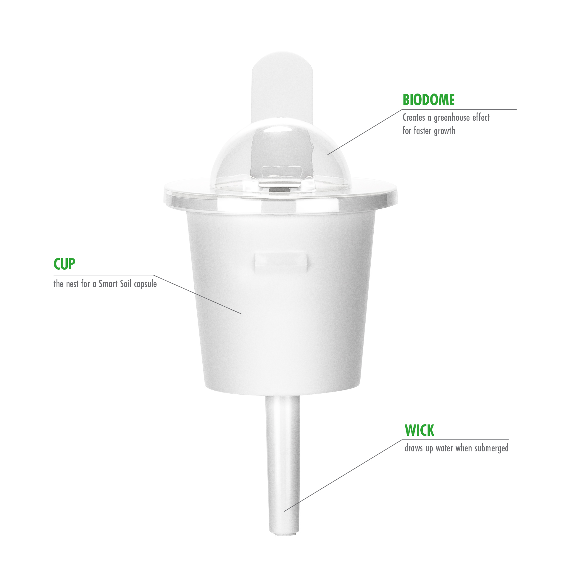 EMSA 600064 Click & Grow Koriander Substratkapsel Weiß