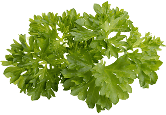 EMSA 600061 Click & Grow Petersilie Substratkapsel Weiß Substratkapsel