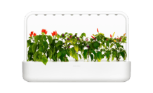 Click & Grow Smart Garden 9 Weiß