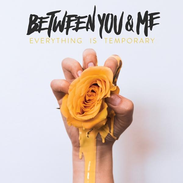 Between You & Is Everything (Vinyl) Me (Vinyl) Temporary - 