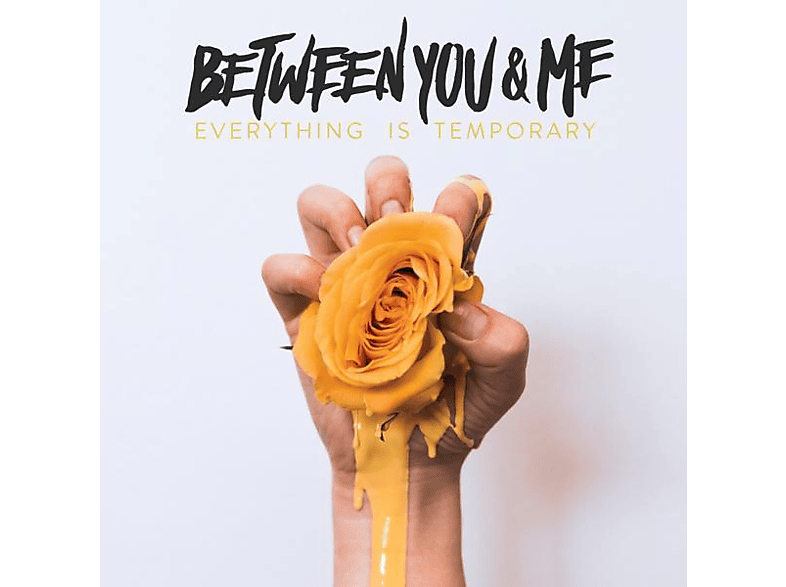 Between You & Me - Everything Is Temporary (Vinyl)  - (Vinyl)