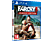 Far Cry 3 Classic Edition (PlayStation 4)