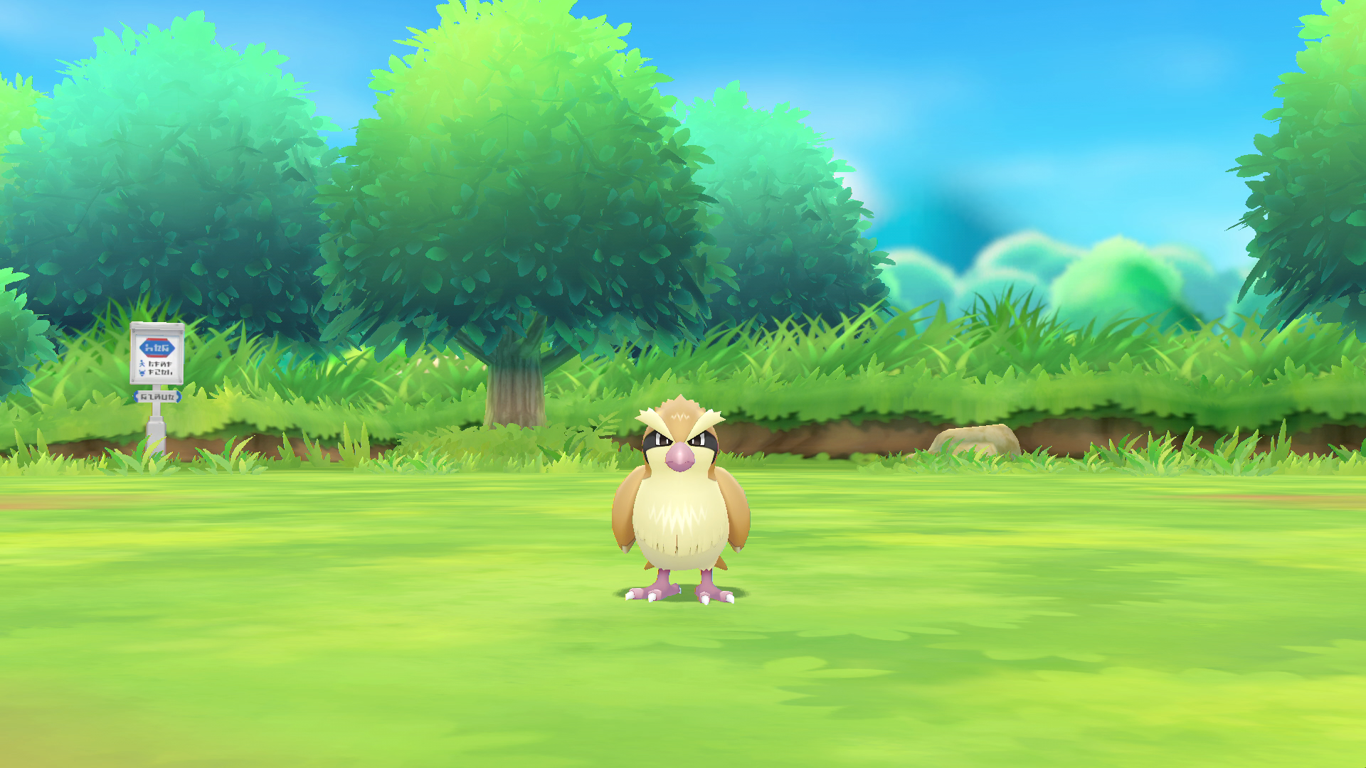 Een bruine vogel-Pokémon met een boze uitdrukking, staand op gras.