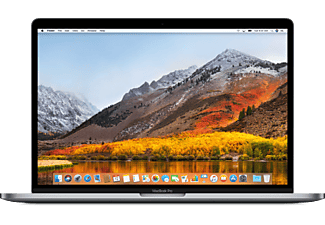 APPLE CTO MacBook Pro 15" - Notebook (15.4 ", 256 GB SSD, Space Grau)