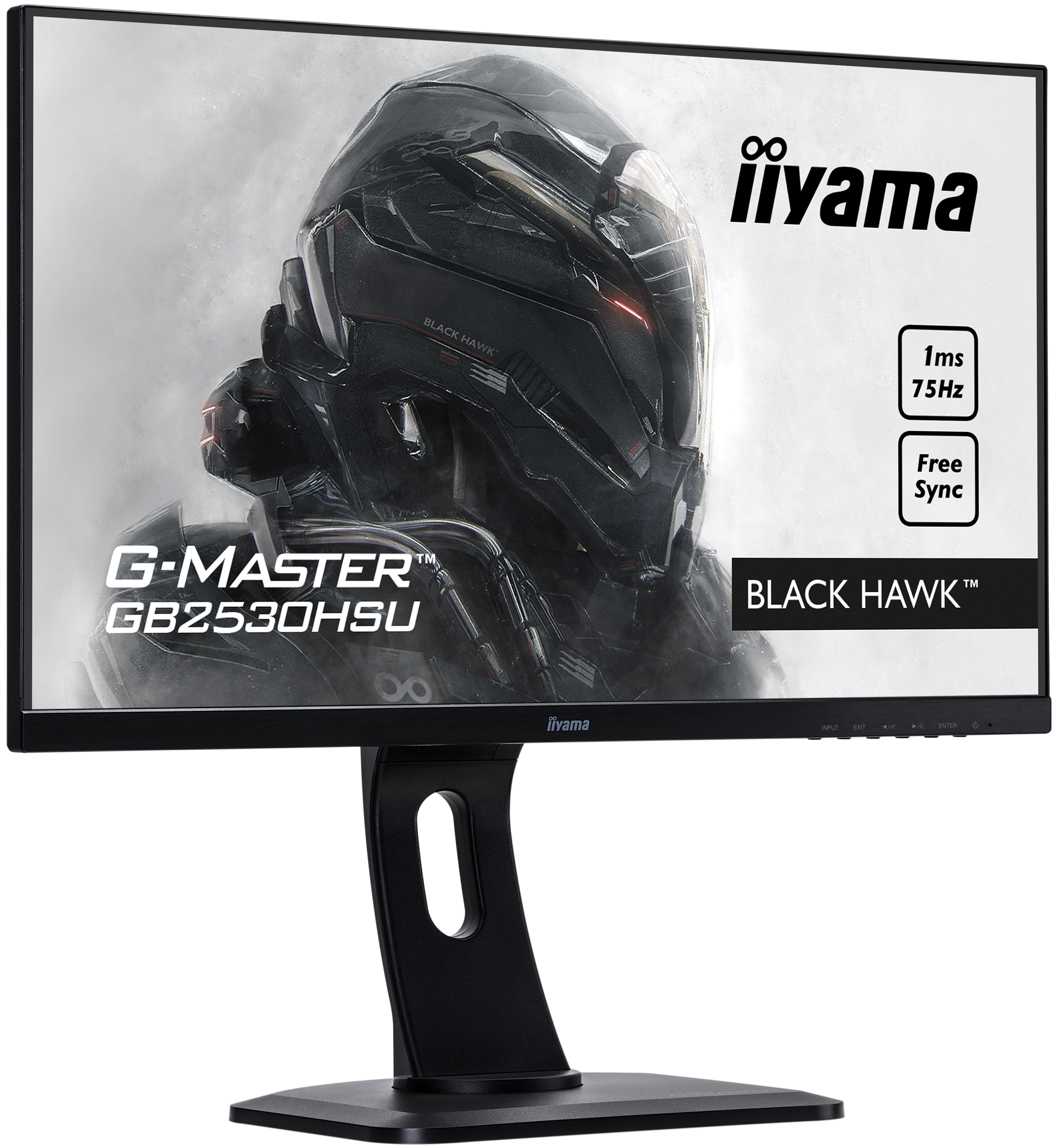 IIYAMA Gaming Monitor G-Master GB2530HSU-B1 Black Hawk, 24.5 Zoll, schwarz 25 Zoll Monitor, Full-HD, 1 ms Reaktionszeit, 250 cd/m², 84 Hz, Schwarz