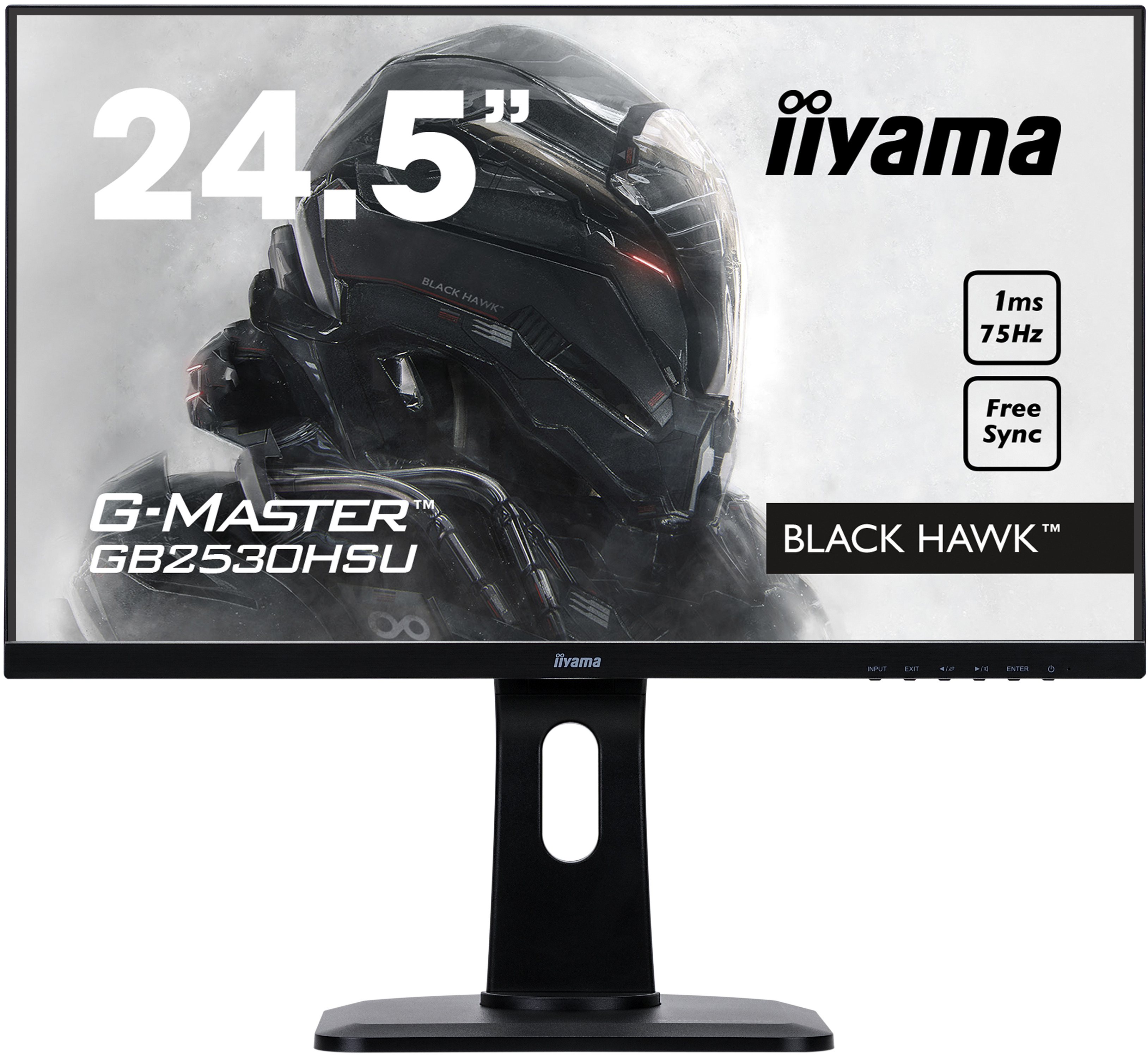 IIYAMA Gaming Monitor G-Master GB2530HSU-B1 Black Hawk, 24.5 Zoll, schwarz 25 Zoll Monitor, Full-HD, 1 ms Reaktionszeit, 250 cd/m², 84 Hz, Schwarz