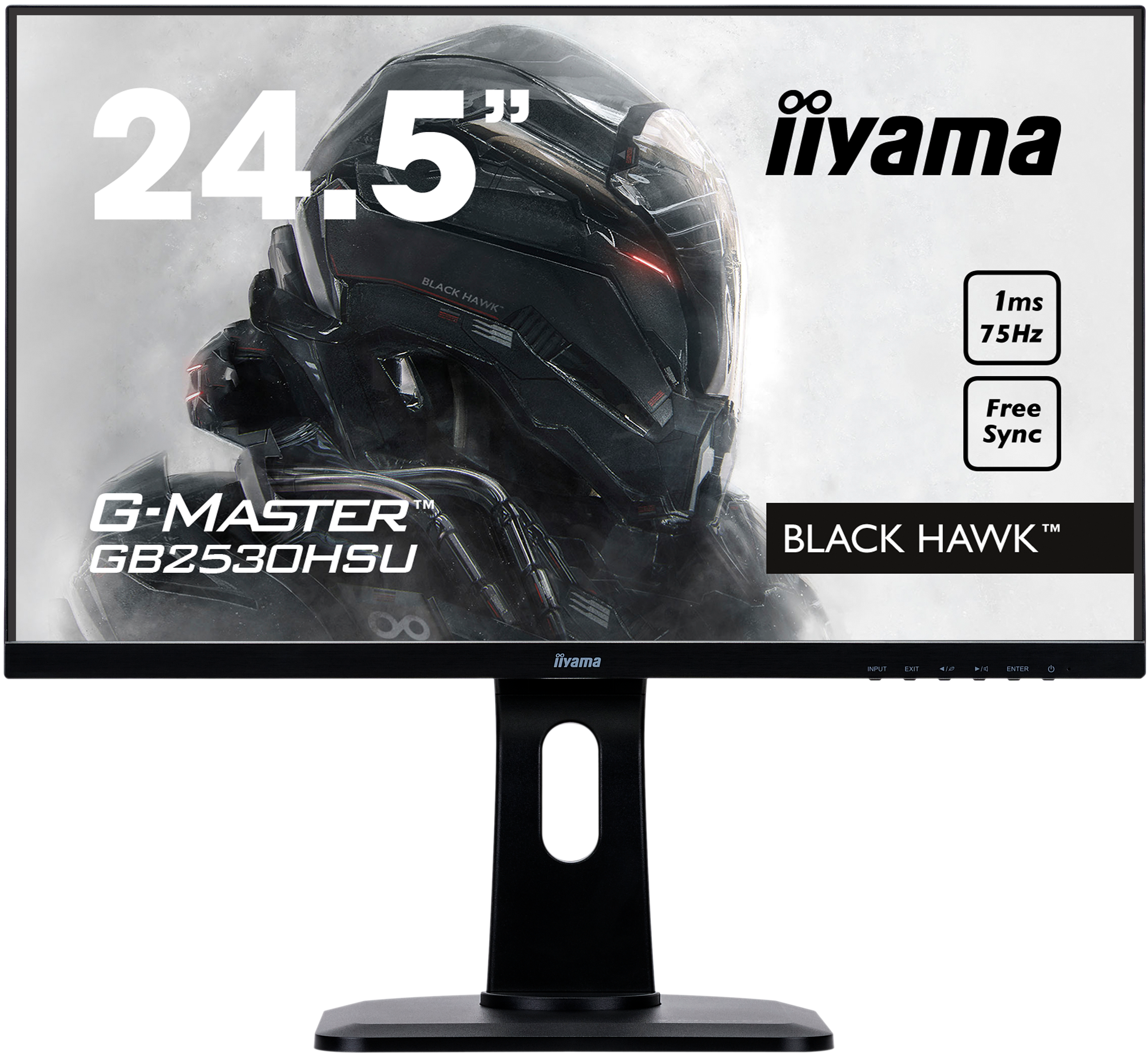 IIYAMA Gaming Monitor G-Master GB2530HSU-B1 Black Hawk, 24.5 Zoll, schwarz 25 Zoll Monitor, Full-HD, 1 ms Reaktionszeit, 250 cd/m², 84 Hz, Schwarz