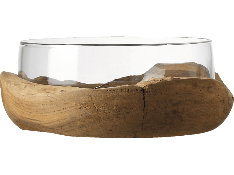 LEONARDO 084411 Terra Schale Transparent