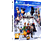 Kingdom Hearts HD 2.8 Final Chapter Prologue (PlayStation 4)