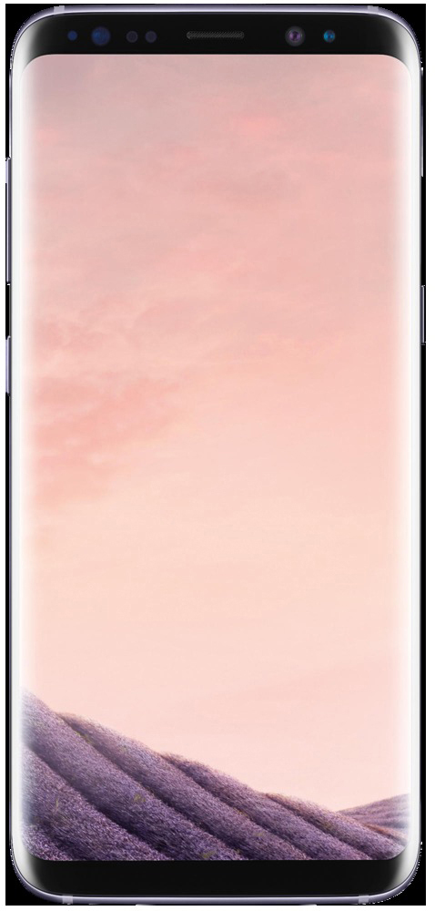 SAMSUNG Galaxy S8 64 GB Orchid Grey