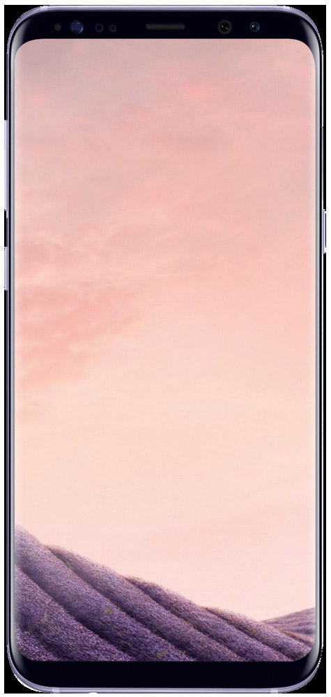 SAMSUNG Galaxy S8+ 64 GB Orchid Grey