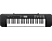 CASIO CTK-240 - Instrument de musique (Noir)