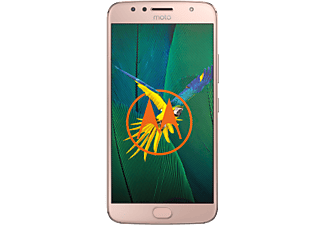 MOTOROLA Moto G5S Plus - Smartphone (5.5 ", 32 GB, Gold)