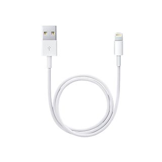 APPLE Lightning to USB Cable - 50 cm - blanc - Câble Lightning (Blanc)