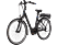 FISCHER City ECU 1860 - E-Bike (Schwarz)