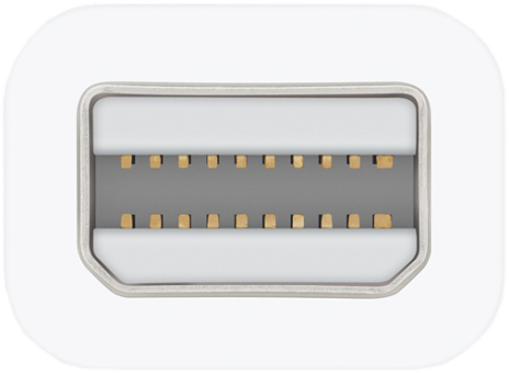 Gros plan d'un connecteur DisplayPort blanc, montrant les broches internes.