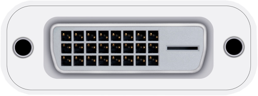 Weißer DVI-Anschluss mit 24 Pins. Er hat zwei Schraubenlöcher an den Seiten.