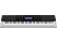 CASIO WK-240 - Piano (Schwarz, grau)