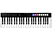 IK MULTIMEDIA IK MULTIMEDIA iRig Keys I/O 49 - Tastiera - 49 tasti - Nero/Bianco -  ()