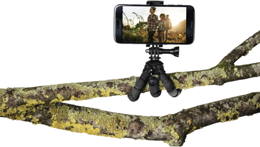 Smartphone sur trépied, affichant une vidéo de personnes dans la nature, sur branche moussue.