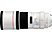 CANON Canon EF 300 mm f/4.0 L IS USM - Primo obiettivo(Canon EF-Mount)