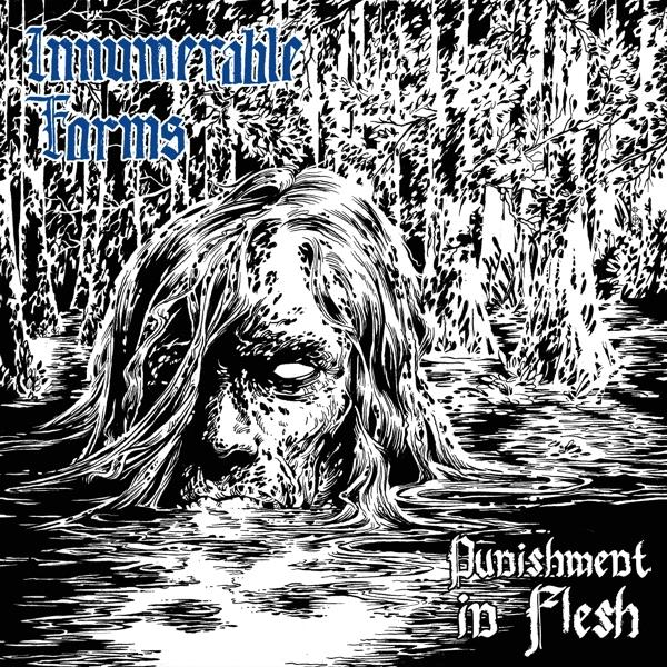 Innumerable Forms - Punishment (Vinyl) - (Double In Flesh Vinyl)