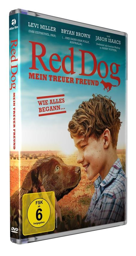 DVD-Cover von Red Dog, ein Junge und ein Hund vor einem Hintergrund.