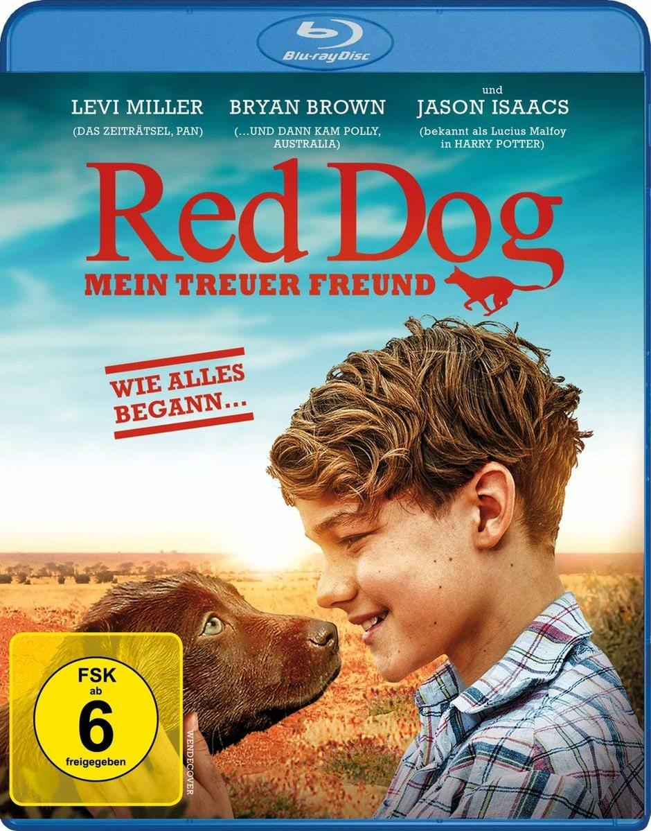 Blu-ray-Disc-Cover: Ein Junge und ein Hund schauen sich auf einem Feld an.