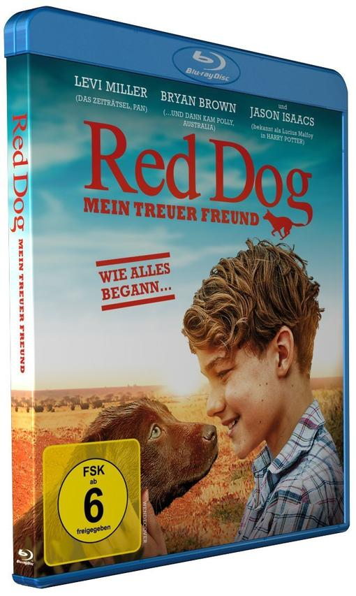 Blu-ray-Cover mit einem Jungen und einem Hund. Ein malerischer Outdoor-Hintergrund ist vorhanden.