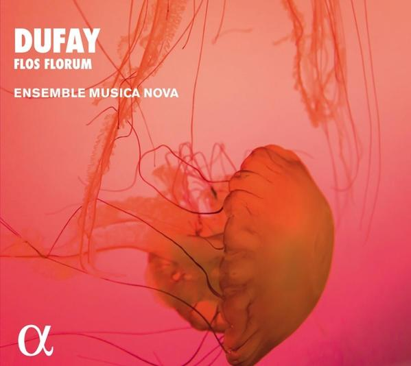 Musica Nova Ensemble - Flos Forum  - (CD)