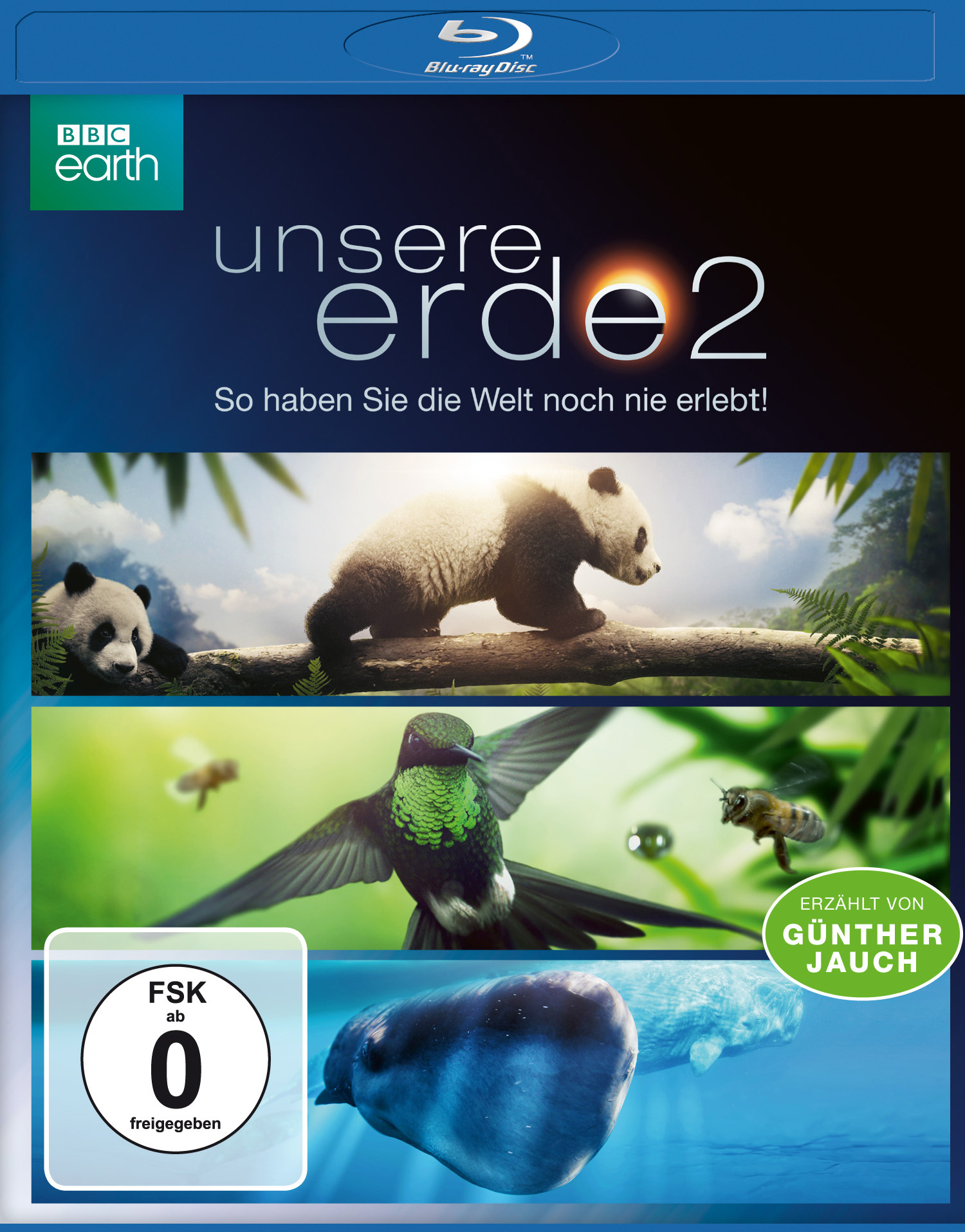 BBC Earth DVD-Cover. Panda, Kolibri und Seehund-Bilder, blau und grün.