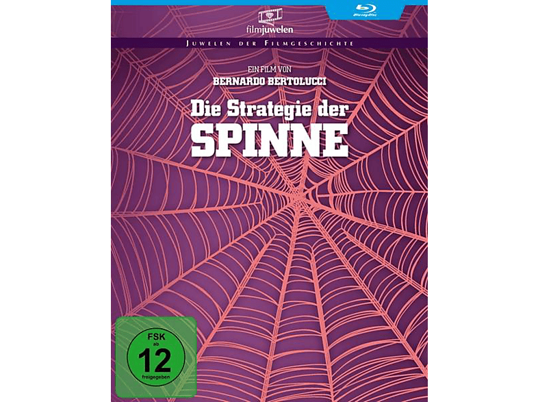 Die Strategie der Spinne Blu-ray (FSK: 12)