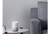 GOOGLE NEST Home Wit