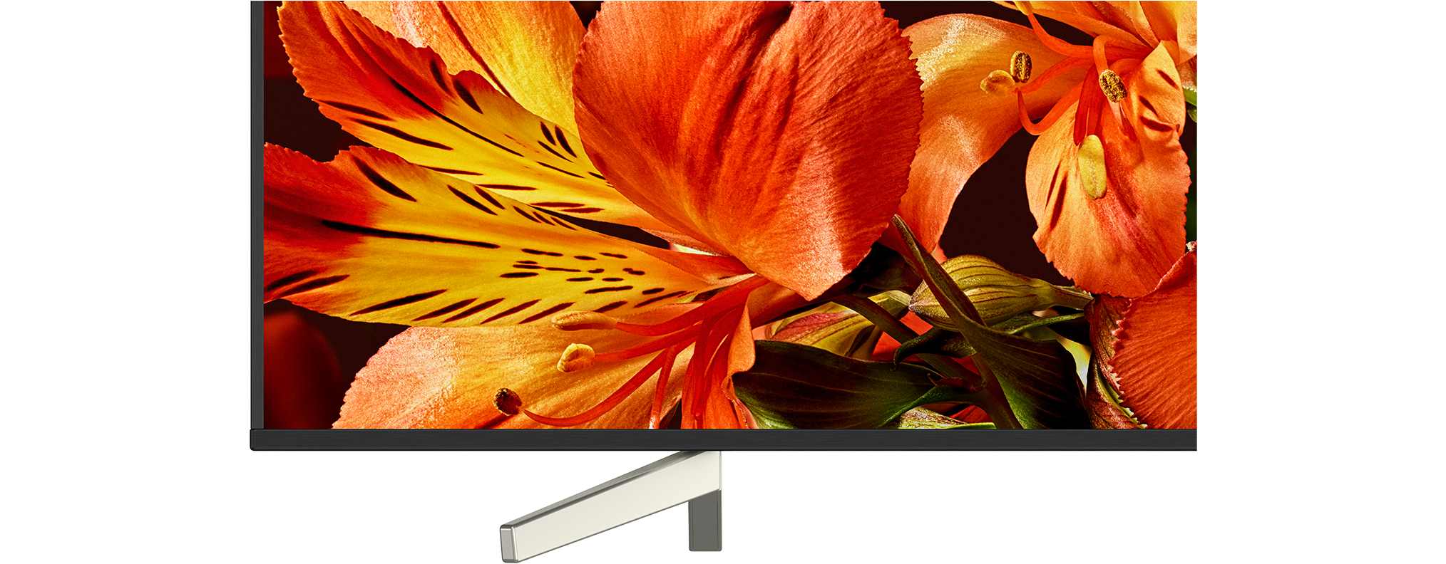 Monitorbildschirm mit orangefarbenen und gelben Blumen vor dunklem Hintergrund.