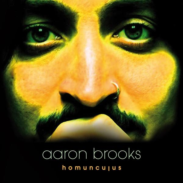Aaron Brooks - HOMUNCULUS - (Vinyl)