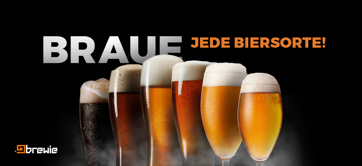 BREWIE BRW-005 B20+ Bierbrauanlage Silber