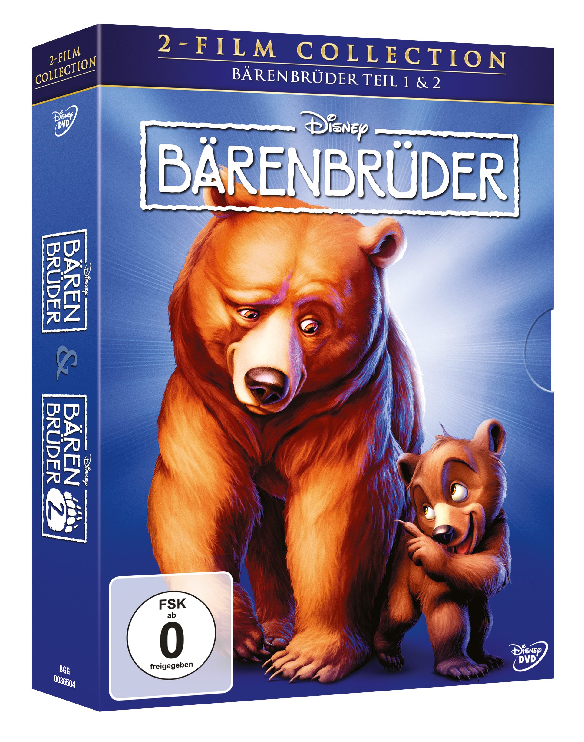 DVD-Hülle mit zwei Bären aus dem Film Bärenbrüder. Blauer Hintergrund mit Titel.