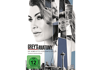 Grey S Anatomy 14 Staffel Auf Dvd Online Kaufen Saturn