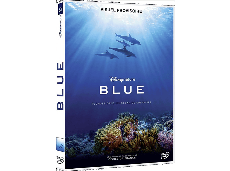 Blue - DVD