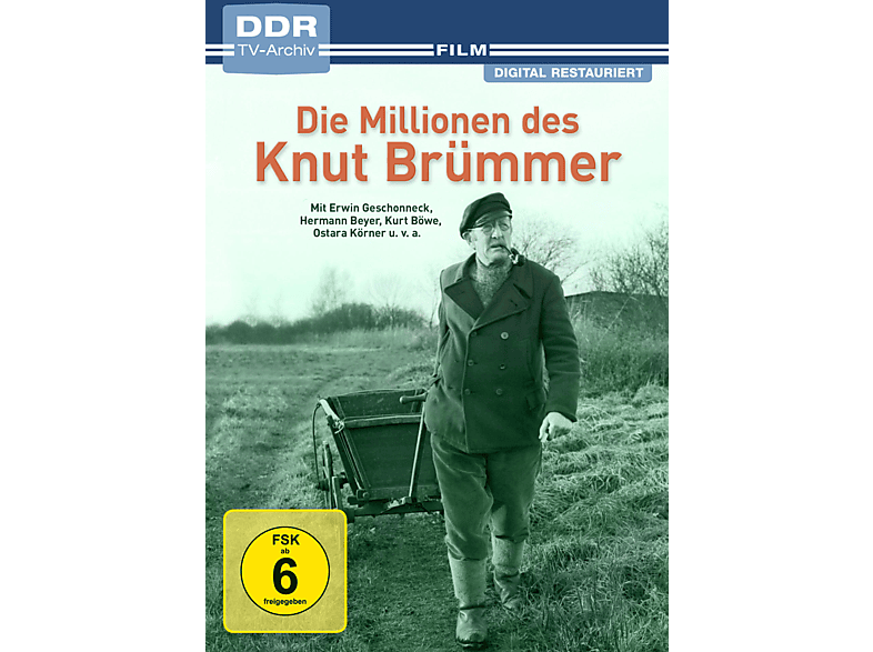 Die Millionen des Knut Brümmer DVD (FSK: 6)
