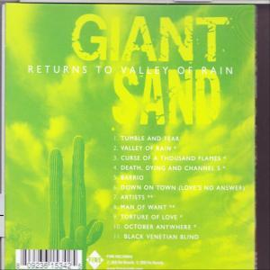 Albumcover mit grünem Hintergrund. Titel Giant Sand, Albumname 'Returns to Valley of Rain'.